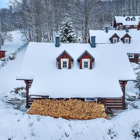 Modern Chalet Na Zlatniku Zlata Olesnice  Exterior foto