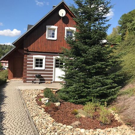 Modern Chalet Na Zlatniku Zlata Olesnice  Exterior foto